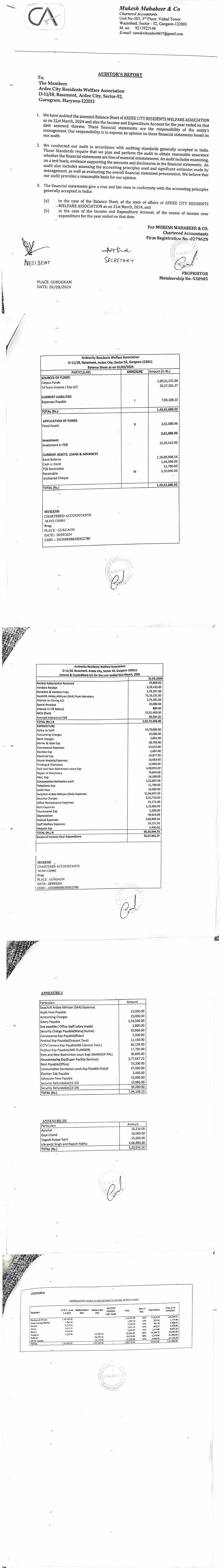 Audit Report of RWA Accounts for FY 2024-25 testing